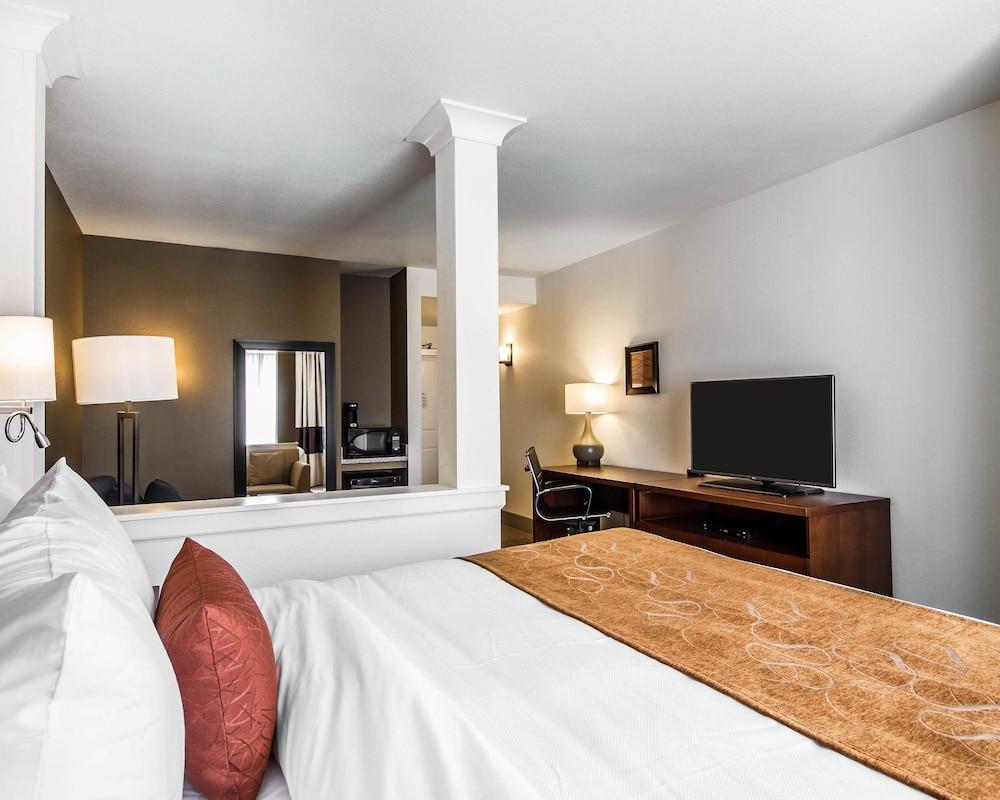 Comfort Suites Woodland - Sacramento Airport photo 6