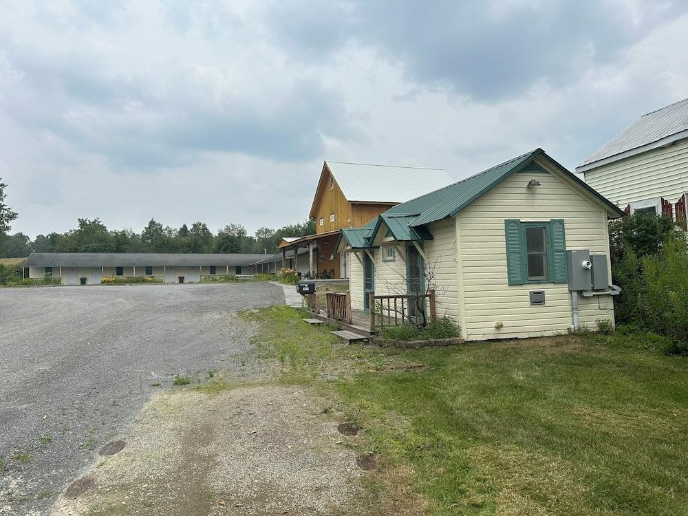 Major League Motor Inn photo 24