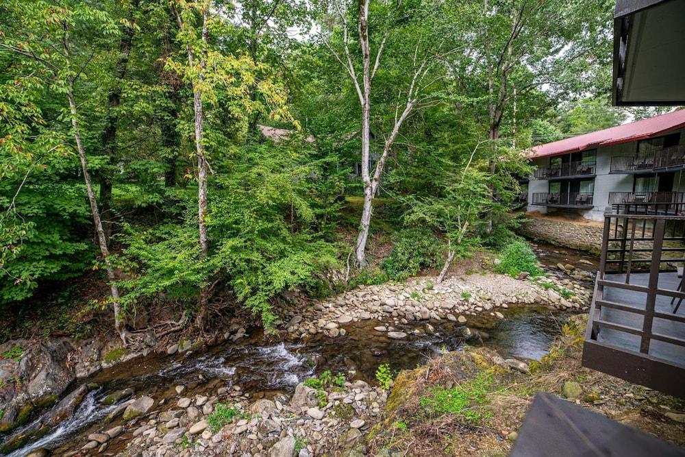 Bear Creek Inn photo 19