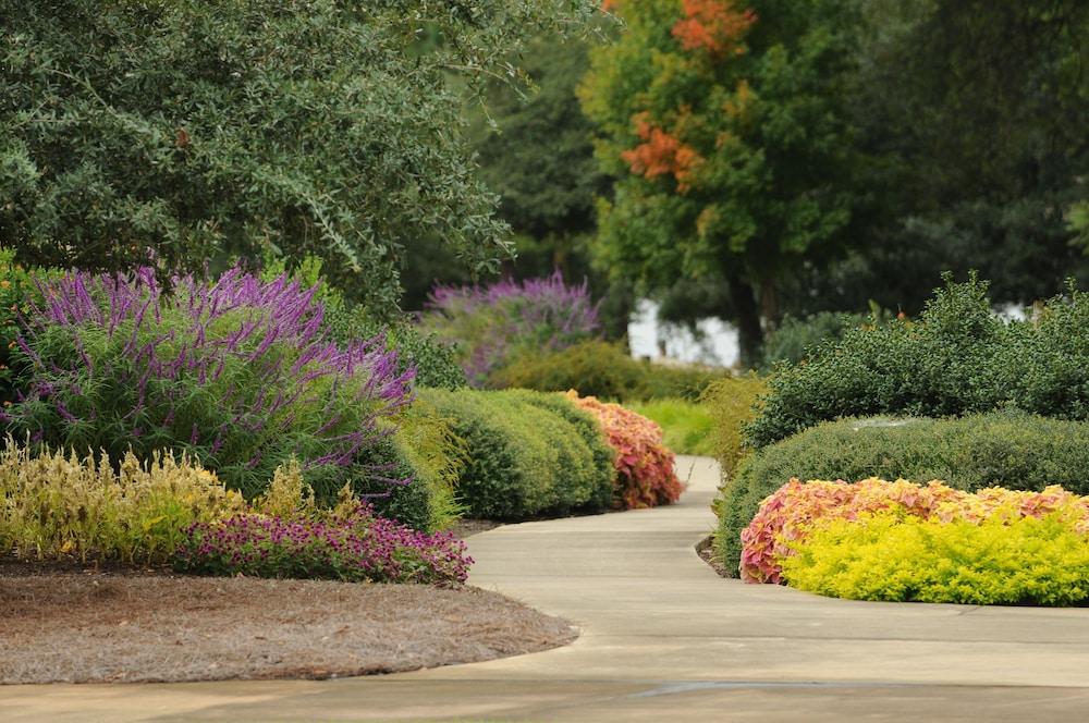 Clemson University's James F. Martin Inn photo 51