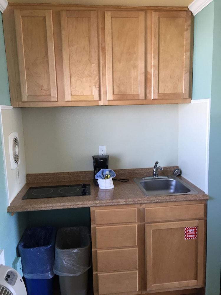 Dolphin Inn photo 17
