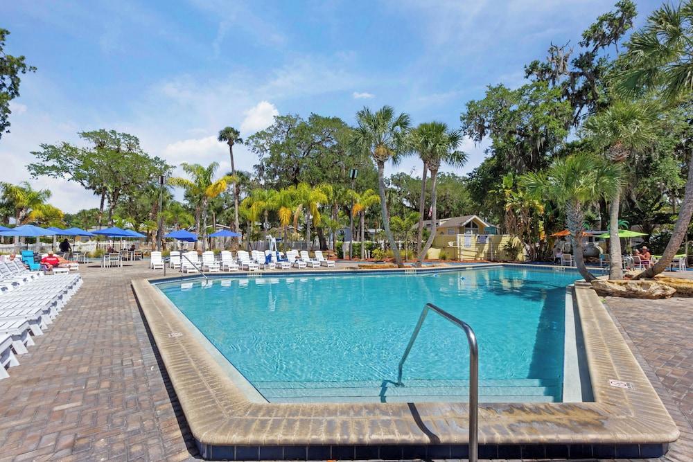 Tropical Palms Resort photo 1