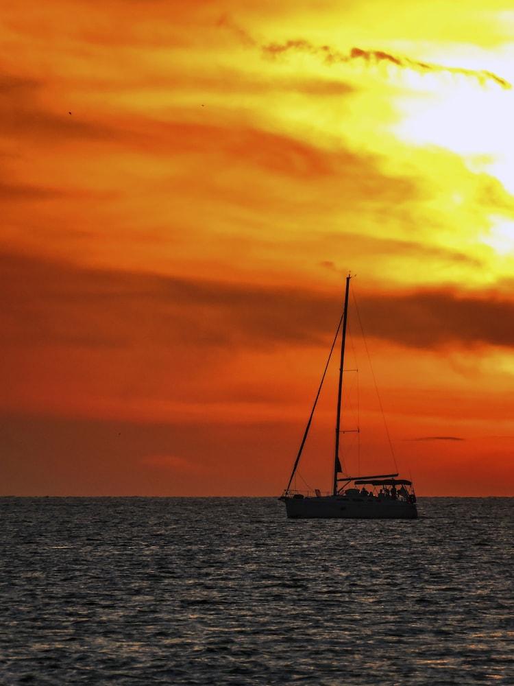The Beachcomber photo 18