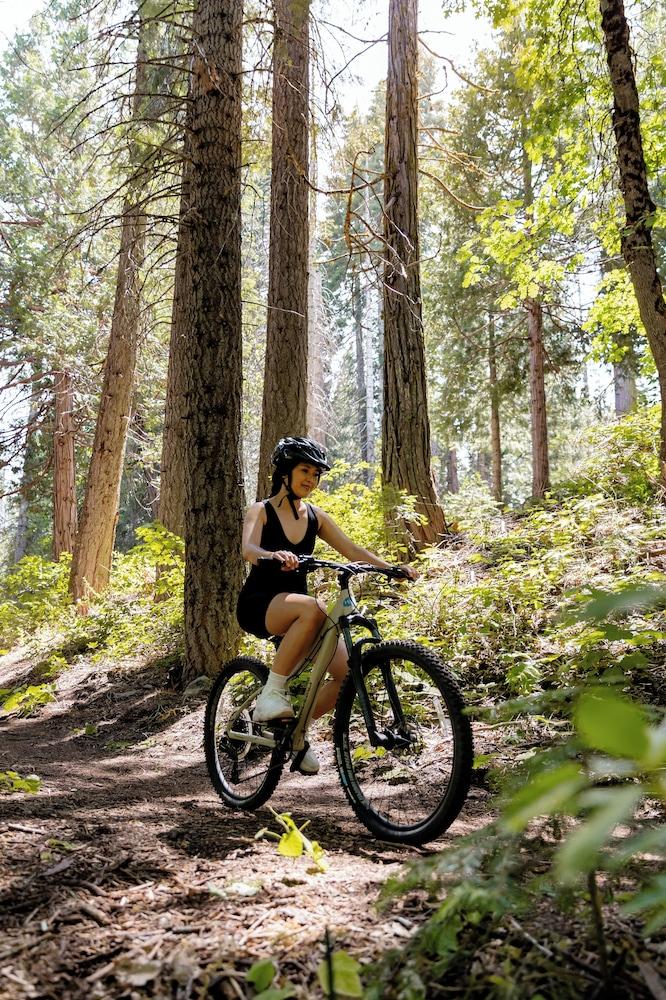 Tenaya at Yosemite photo 68
