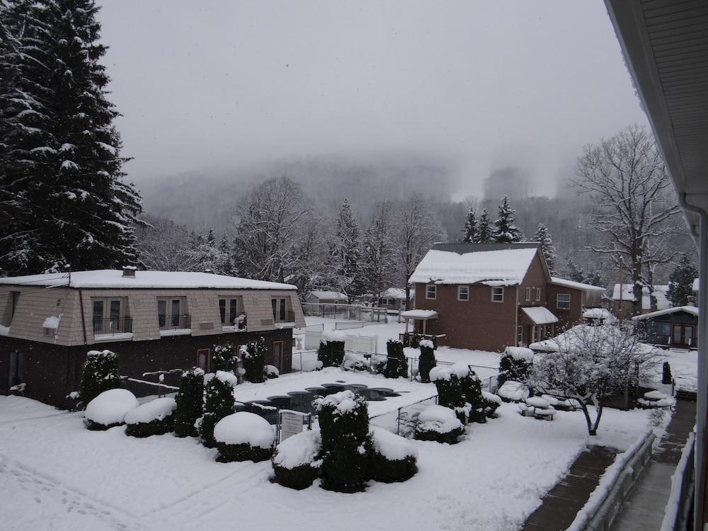Edelweiss Lodge photo 35