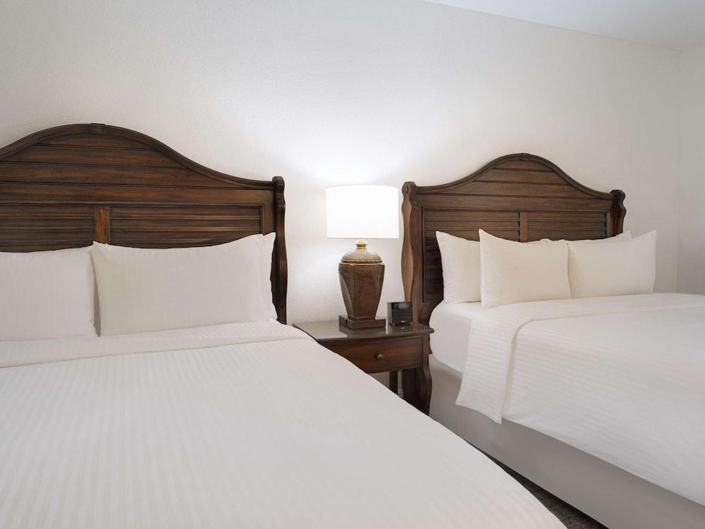 Saddlebrook Resort photo 62