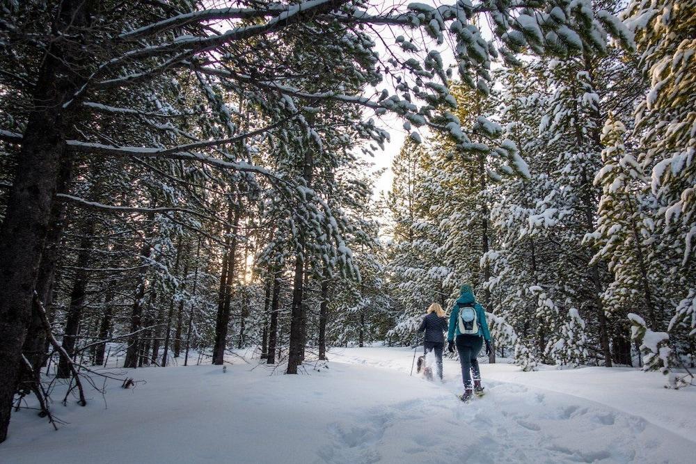 Mountainside Lodging & Retreats photo 25