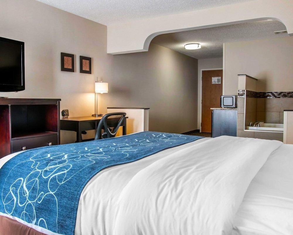 Comfort Suites Benton Harbor - St. Joseph photo 14