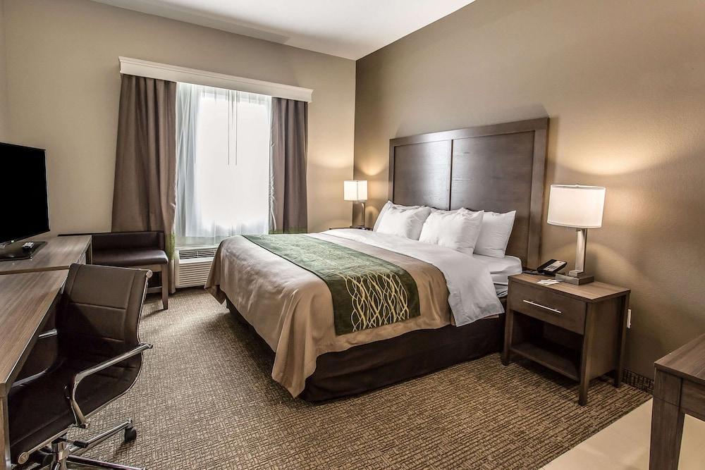 Comfort Inn & Suites Snyder photo 11