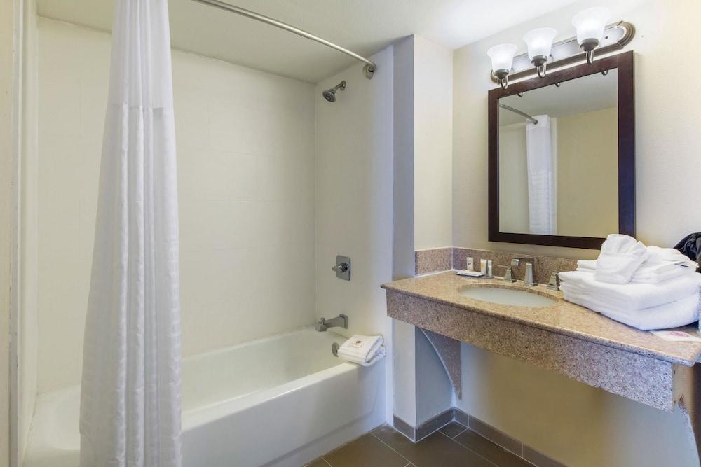 Comfort Inn & Suites SW Houston Sugarland photo 8