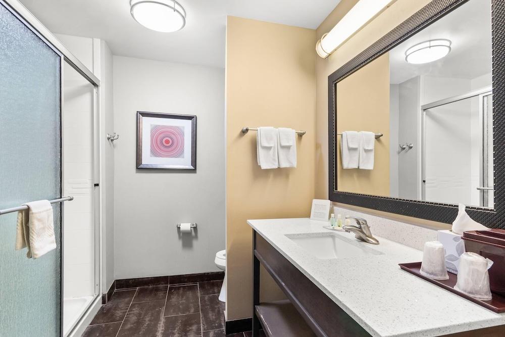 Quality Inn & Suites Pearsall photo 23
