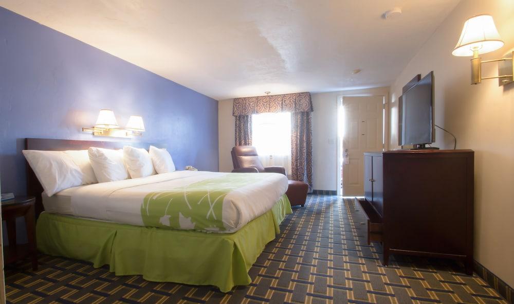 Uncommoner Hotel by Reverie Boutique Collection photo 3