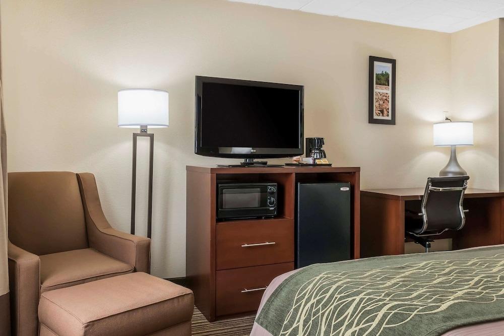 Comfort Inn - Pocono Mountains photo 6