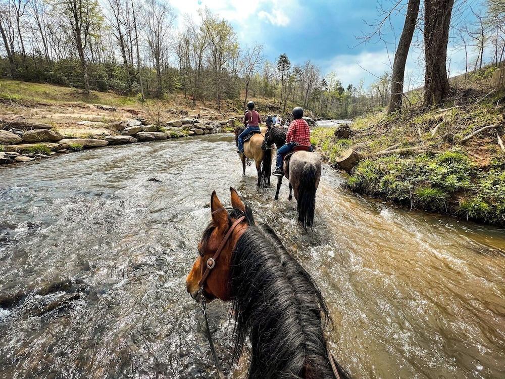 Tryon Resort photo 11