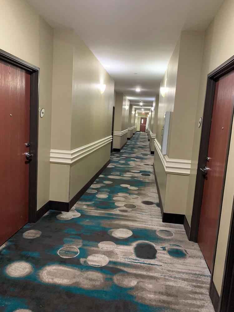 Rodeway Inn & Suites Winnfield photo 47