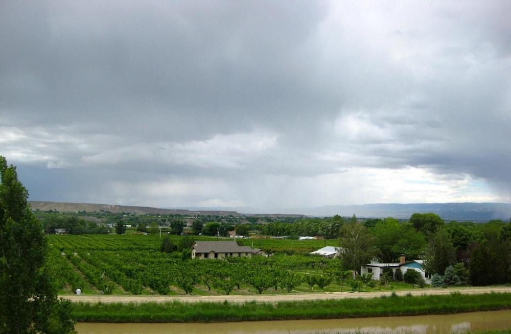Wine Country Inn Palisade photo 4