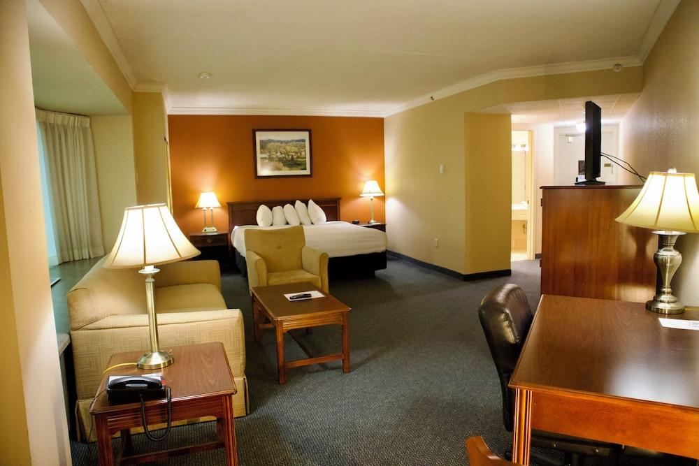 Hotel Mead Resorts & Conventions Center photo 35