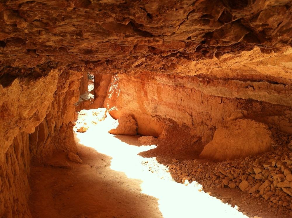 Red Ledges Inn photo 49
