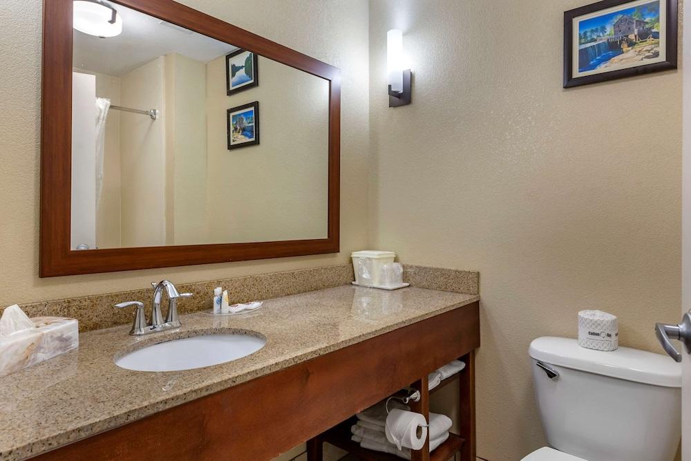 Comfort Suites Clayton - Garner photo 23