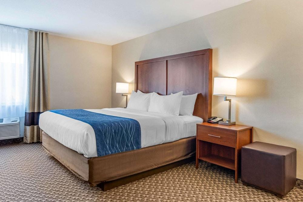 Comfort Inn & Suites near Route 66 photo 21