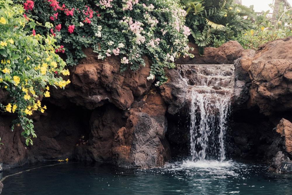 Four Seasons Resort Lanai photo 32