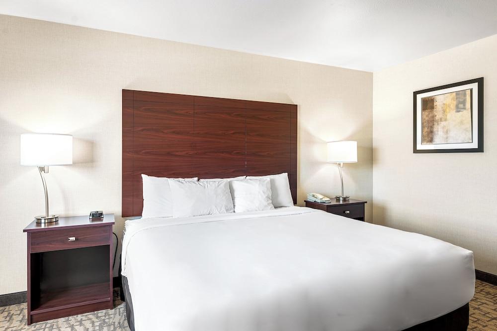Boarders Inn & Suites by Cobblestone Hotels - Shawano photo 54