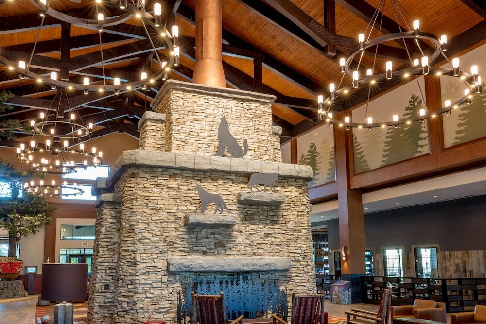 Great Wolf Lodge Atlanta / LaGrange, GA photo 4