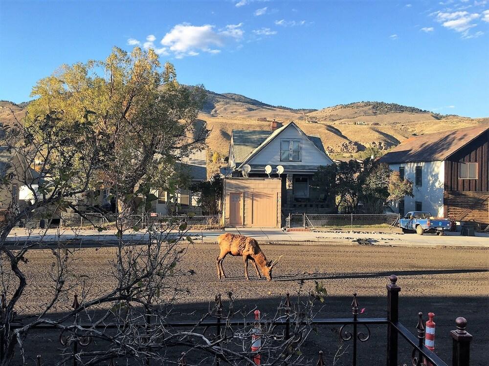 Park Hotel Yellowstone photo 47
