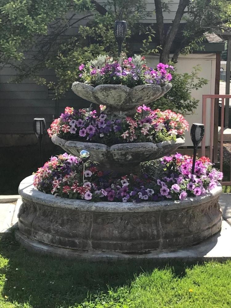 Blue Spruce Inn photo 39
