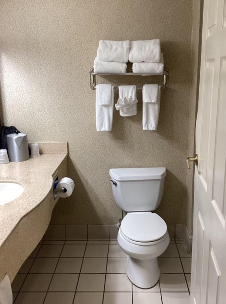 Holiday Inn Vicksburg by IHG photo 8