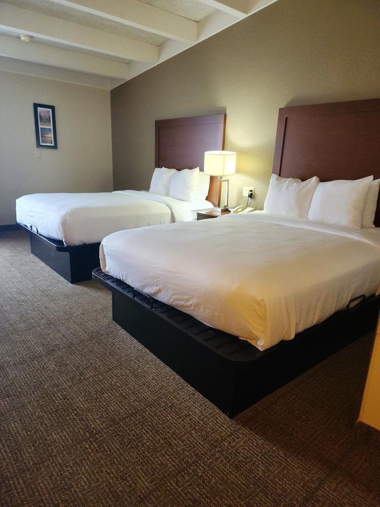 Comfort Inn & Suites Madison - Airport photo 24