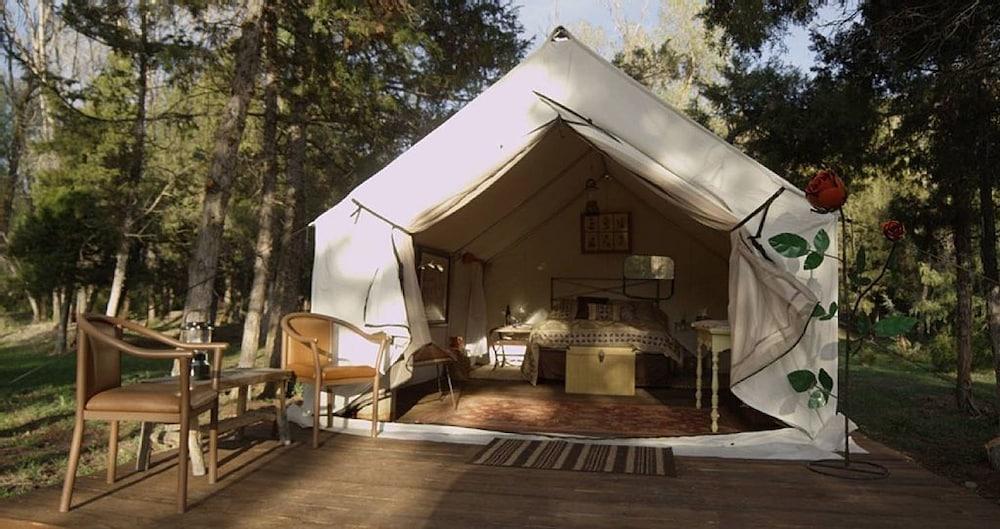 Norwegian Wood Ranch photo 2