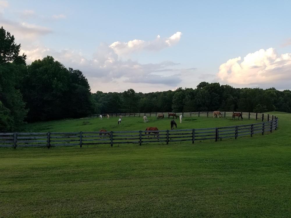 Barren River Lake State Resort Park photo 19