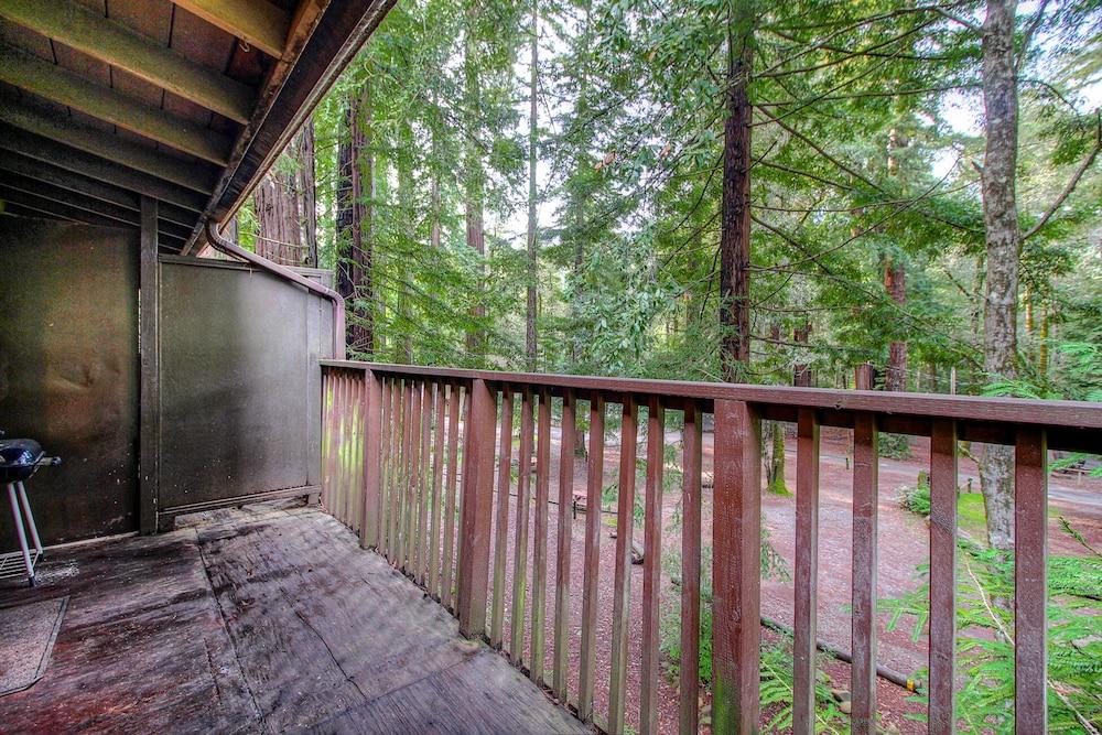 Redwoods River Resort photo 31