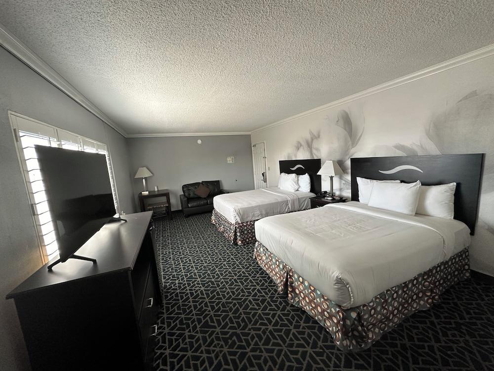 Dusk Hotel photo 20