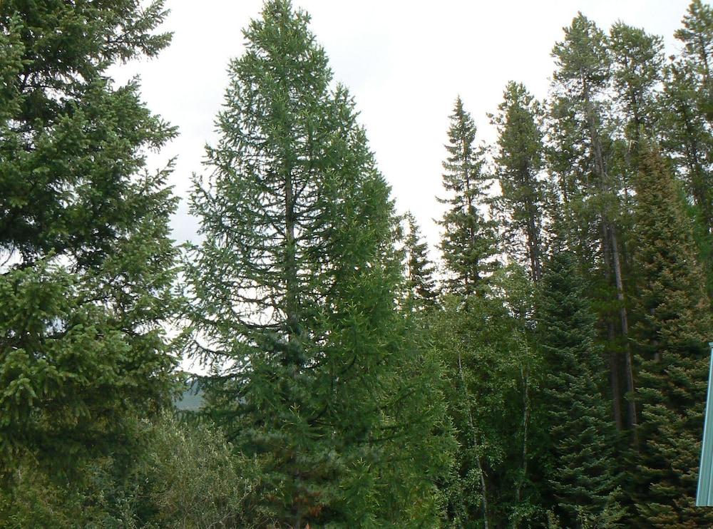 Smoky Bear Ranch Bed & Breakfast & Cabins photo 40
