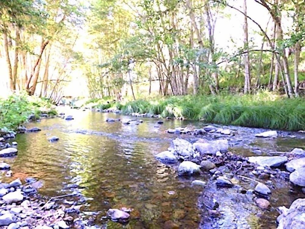Mandala Springs Wellness Retreat Center photo 38