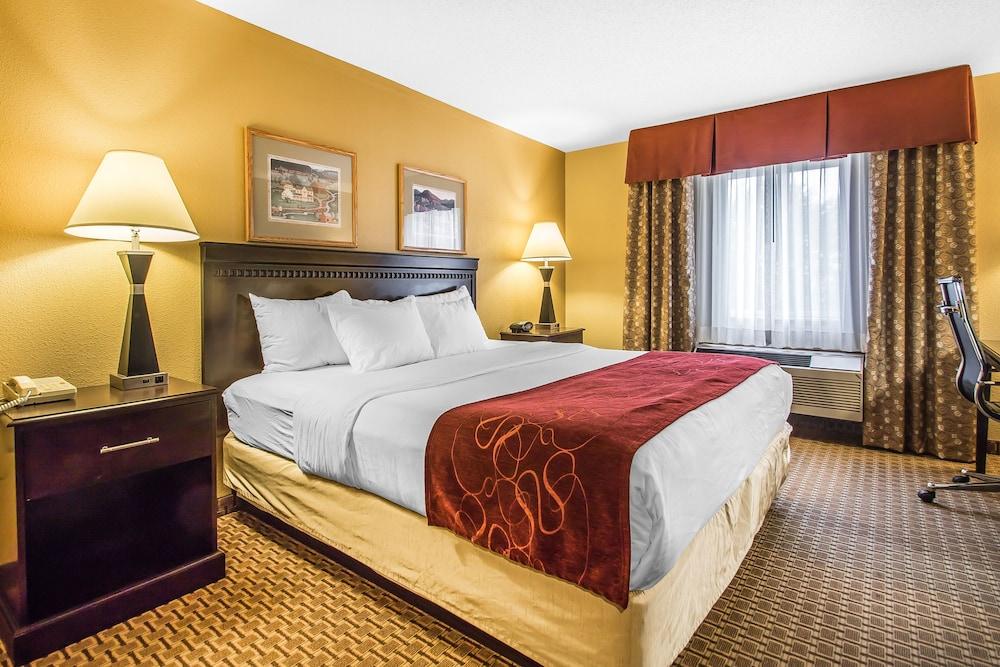 Comfort Suites Wisconsin Dells Area photo 19