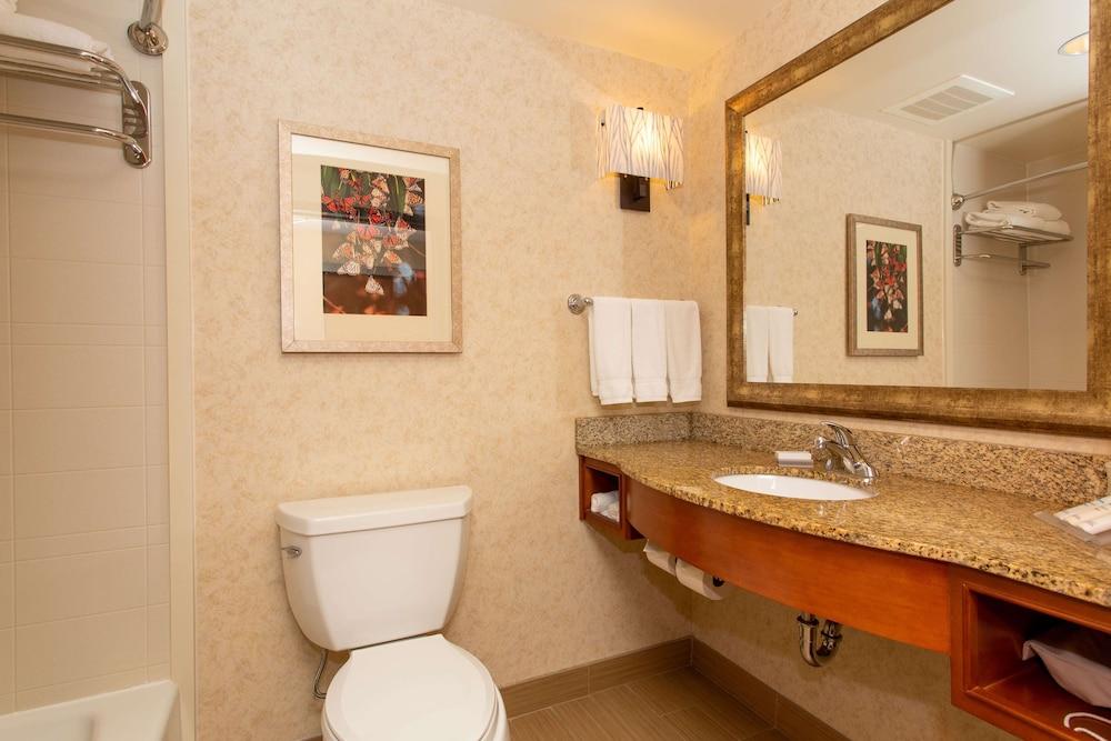 Hilton Garden Inn Cedar Falls photo 10