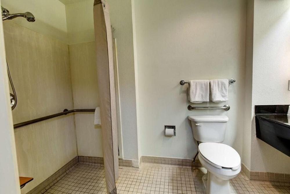 Executive Inn & Suites photo 12
