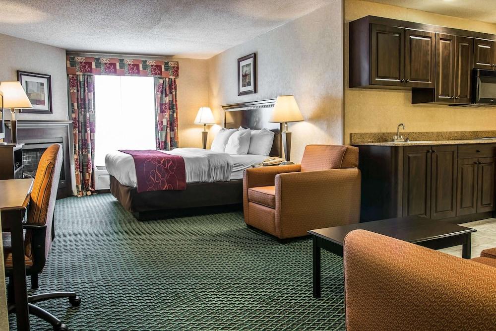 Comfort Suites Canton - Detroit photo 10