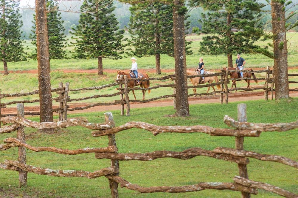 Four Seasons Resort Lanai photo 80