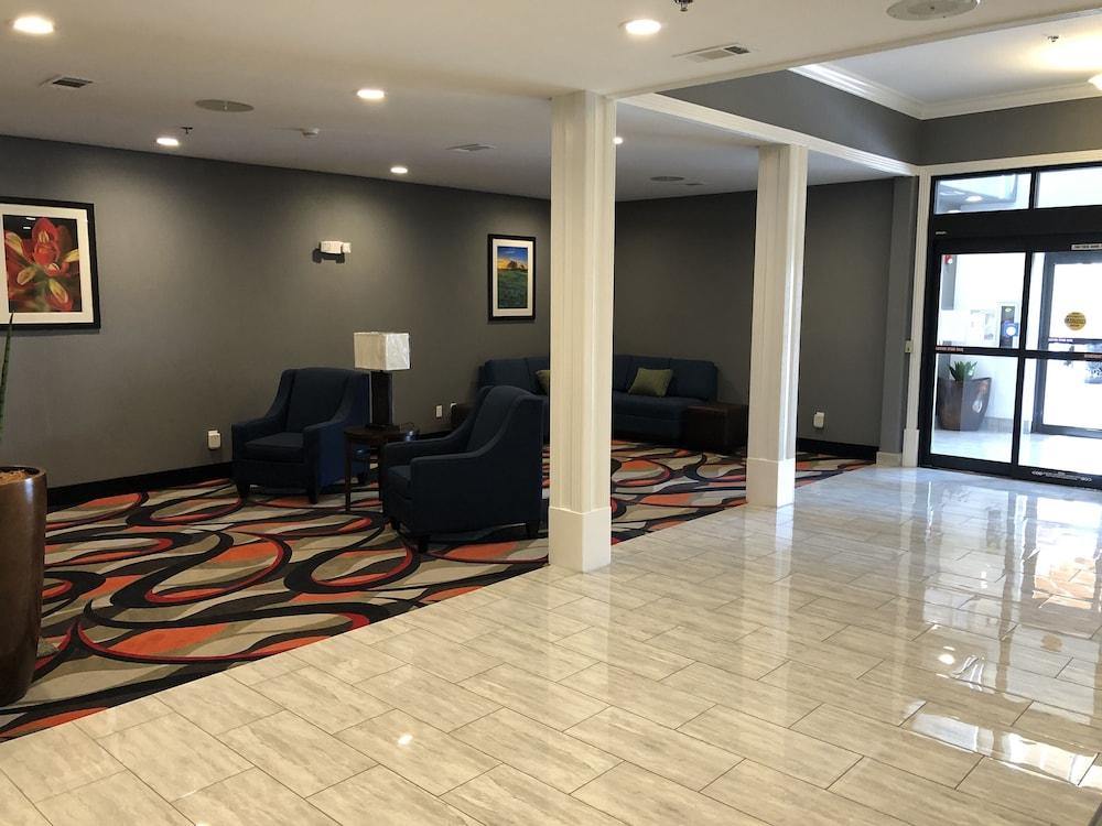 Comfort Inn & Suites Gatesville photo 10