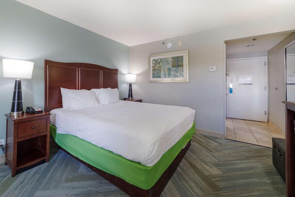 Holiday Inn Express & Suites Port Charlotte by IHG photo 12
