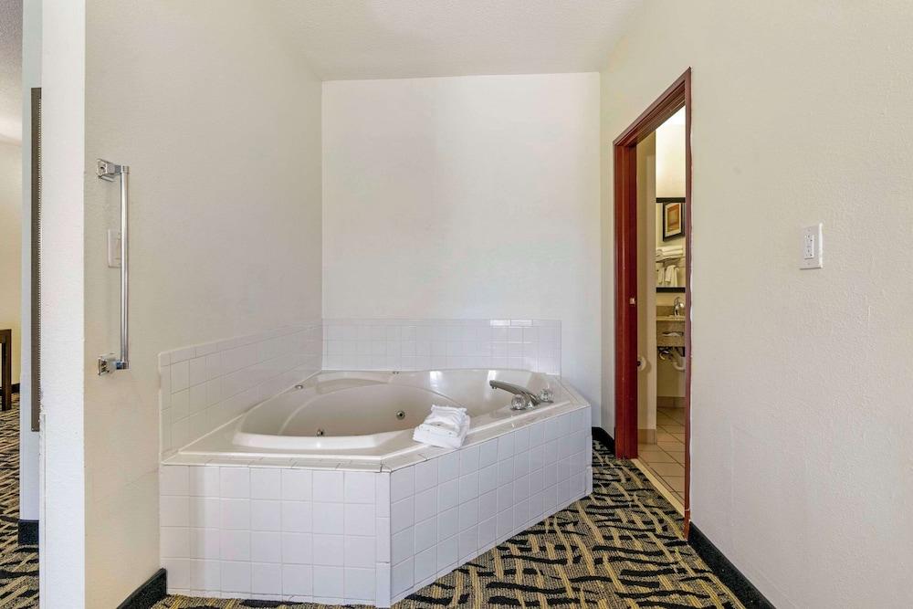 Spark by Hilton La Grange photo 19