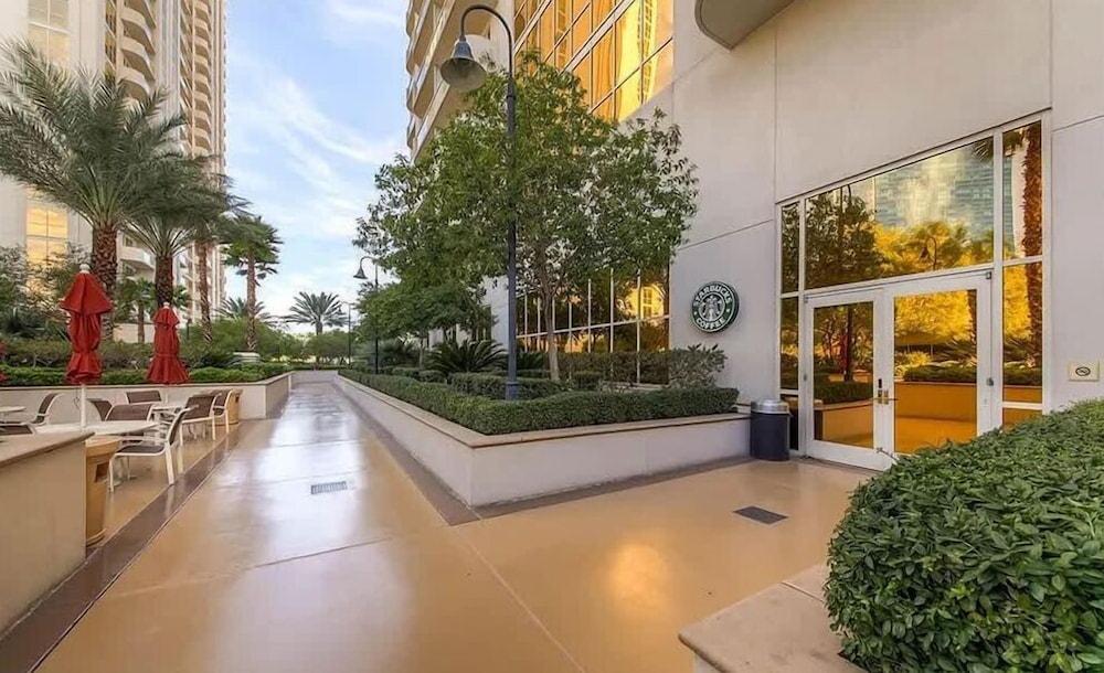 Signature MGM photo 37