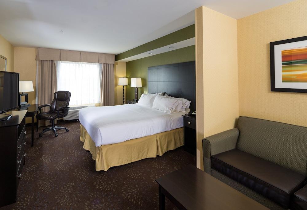 Holiday Inn Express & Suites Detroit North - Troy by IHG photo 13