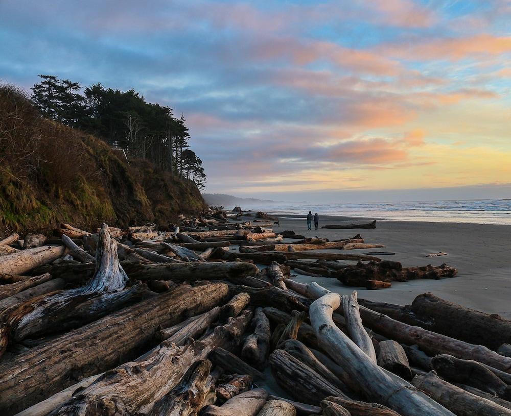 Kalaloch Lodge photo 23