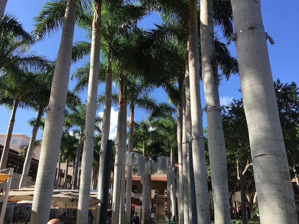 LYX Suites at Merrick Park in Coral Gables photo 33