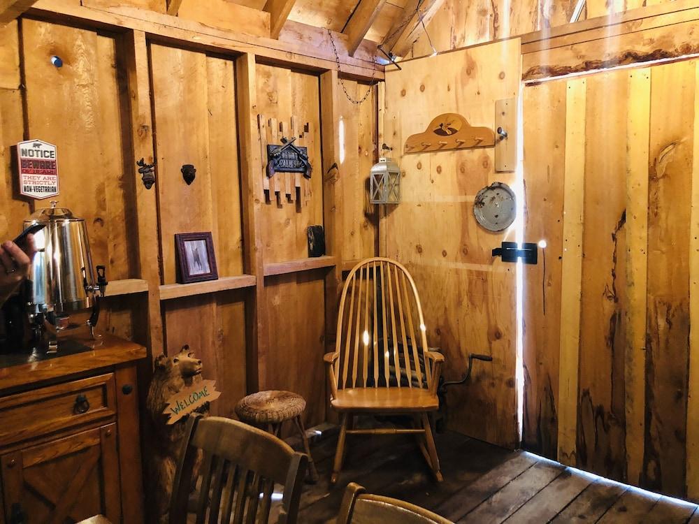 Wrangell Mountain Lodge photo 93